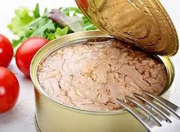 خرید کنسرو تن ماهی در روغن گیاهی + بهترین قیمت