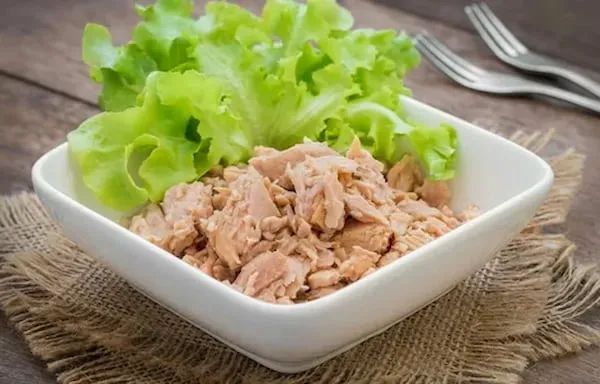 راهنمای خرید تن ماهی کنارک 120 گرمی + قیمت عالی
