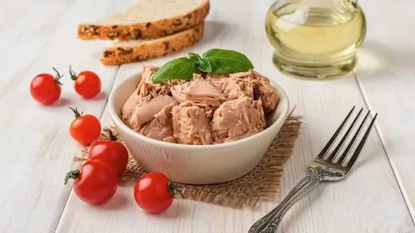 قیمت تن ماهی کنارک هوور + مشخصات بسته بندی عمده و ارزان