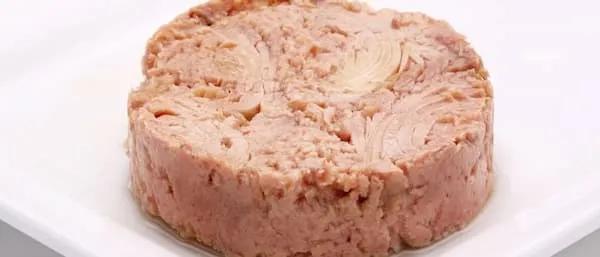 قیمت تن ماهی بدون روغن + پخش تولیدی عمده کارخانه